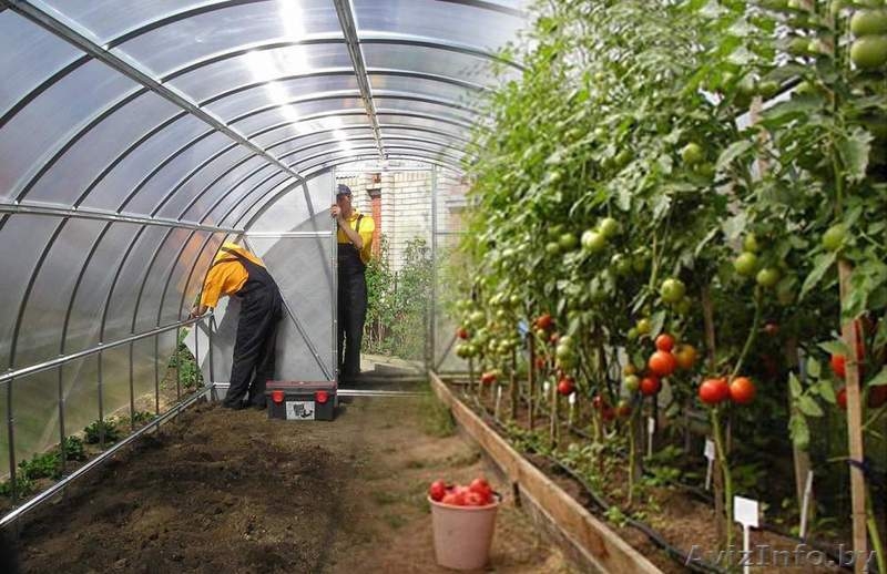 Распродажа теплиц " ПК УСИЛЕННАЯ". БЕСПЛАТНАЯ доставка по всей РБ!+подарки! - Изображение #2, Объявление #1311717