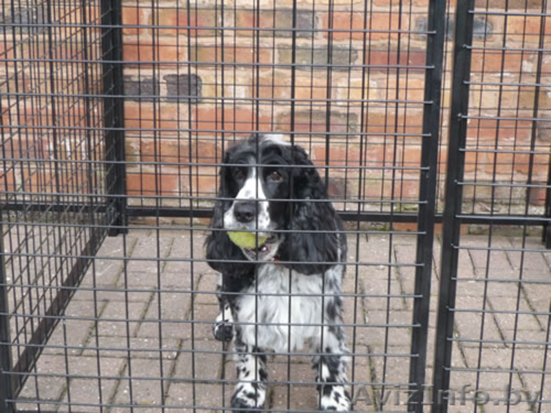 Вольеры с прутьями или из сетки!!! Бесплатная доставка!! - Изображение #3, Объявление #1380996