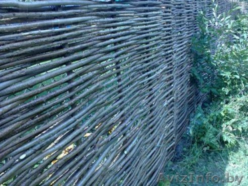 Украинский тын из орешника - Изображение #4, Объявление #1441485