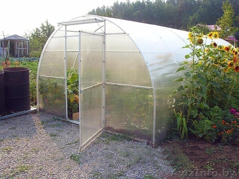 Теплица из трубы 20х20. Бесплатная доставка - Изображение #1, Объявление #1492066