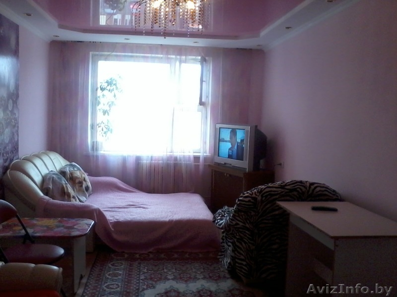 однокомнатную квартиру заочникам на сессию - Изображение #9, Объявление #1538251