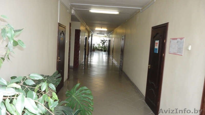 Сдается помешение под офис - Изображение #3, Объявление #1537464