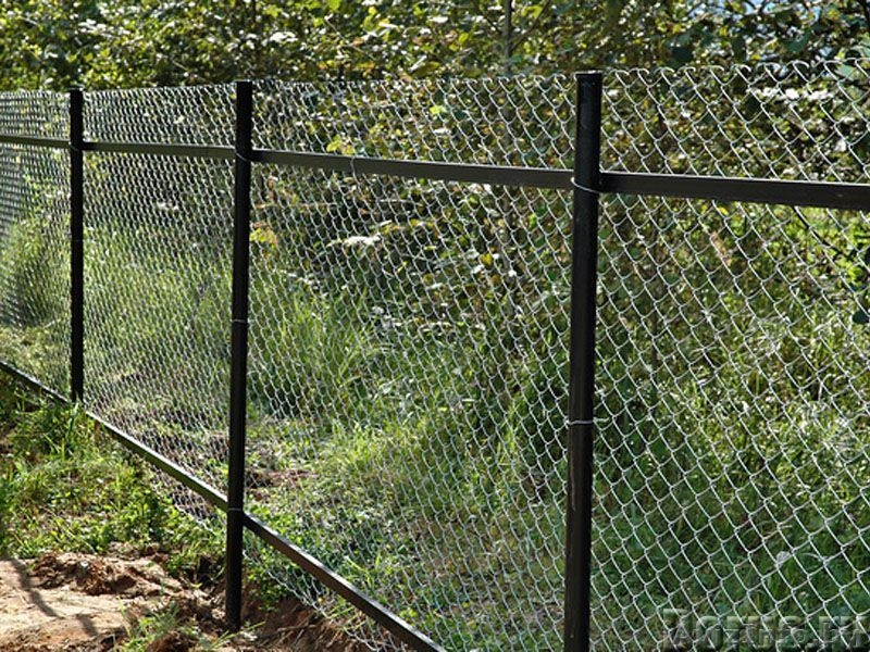 Сетка-рабица с бесплатной доставкой по отличной цене - Изображение #2, Объявление #1562900