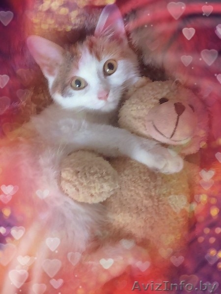 Карамельное создание с самым нежным сердечко в мире - Изображение #3, Объявление #1642011